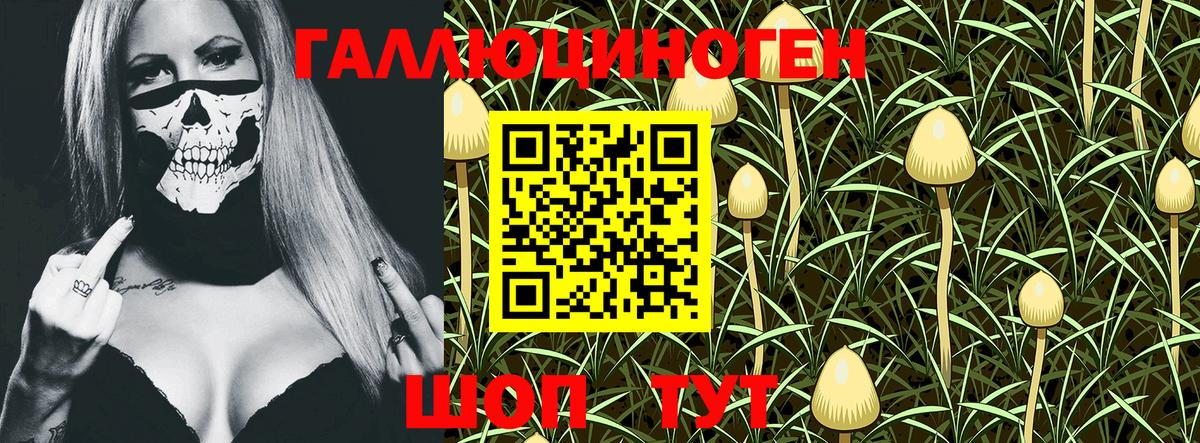 Галлюциногенные грибы GOLDEN TEACHER  Вход с VPN  Минусинск  Псилоцибиновые грибы Cubensis 
